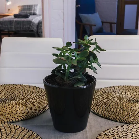 فيلة Makala Apartamentuak